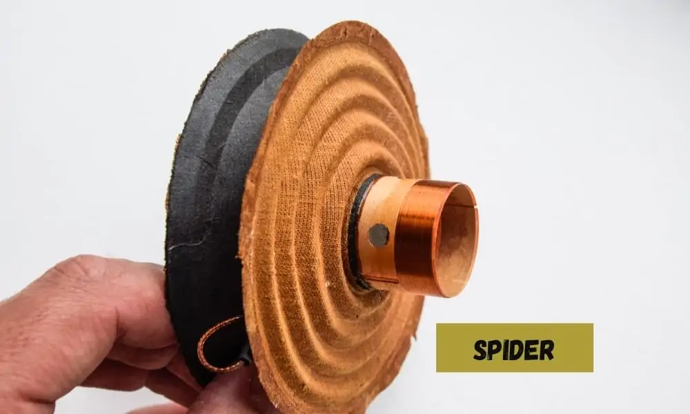 What are the different parts of a speaker