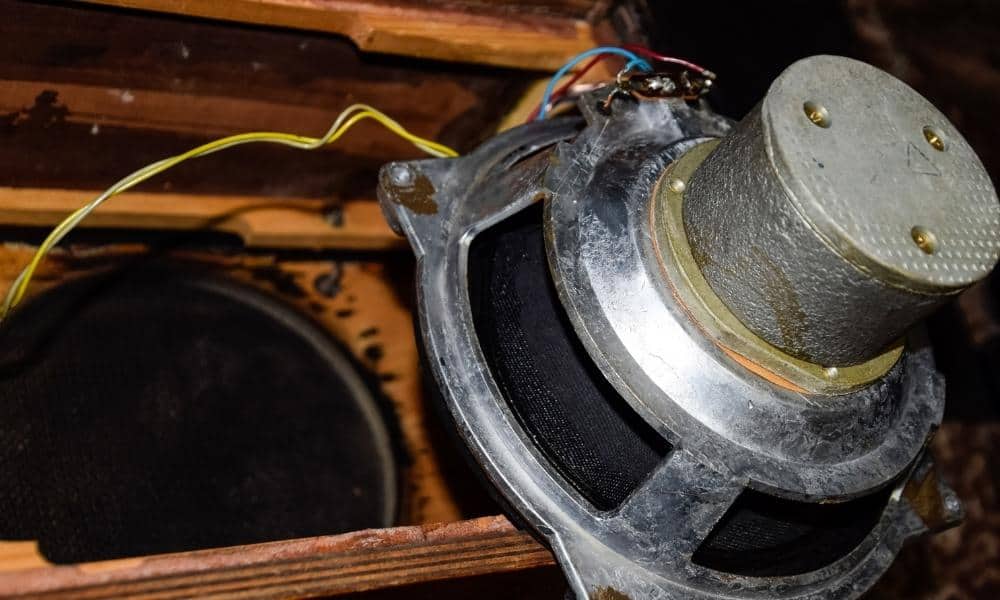 Pulled out speaker from a mounting hole